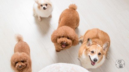 以太坊钱包苹果版